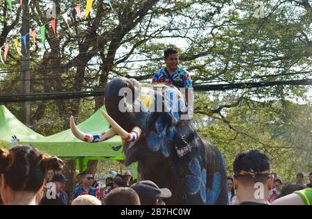 Ayutthaya Thailand April 14, 2019 : elephant splashing water between ...