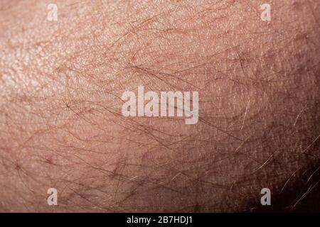 very hairy men's skin Stock Photo - Alamy