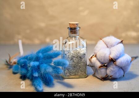 Hare-tail and cotton.Decorative floral elements on a grey concrete background. Space for text. Stock Photo