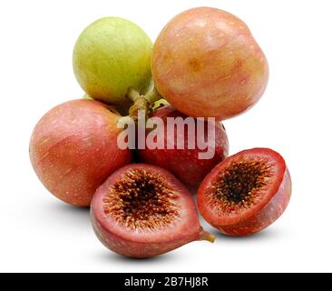 Ficus racemosa isolated on white background Stock Photo