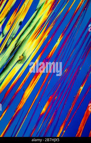 Urea crystals in polarized light under the microscope Stock Photo