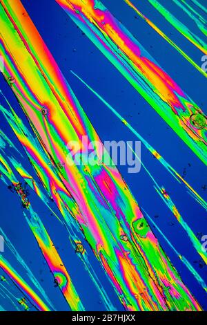 Urea crystals in polarized light under the microscope Stock Photo