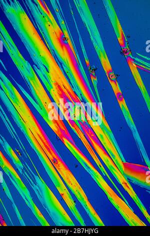 Urea crystals in polarized light under the microscope Stock Photo