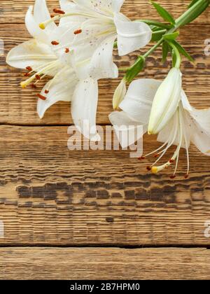 White lilies on an old wooden background. Beautiful blooming flowers. on wooden boards. Top view. Stock Photo