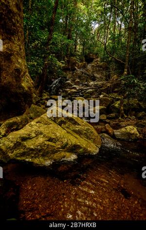 Deep forest creek with rocks western ghats India Stock Photo