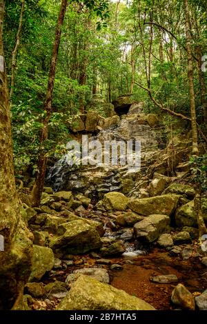 Deep forest creek with rocks western ghats India Stock Photo