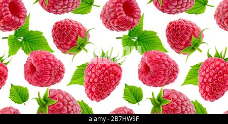 Raspberry seamless pattern isolated on white background Stock Photo