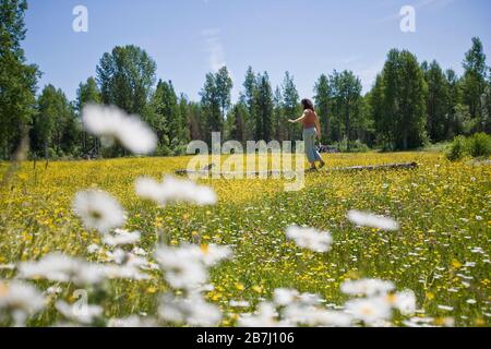 Woman balancing on log in field of flowers Stock Photo