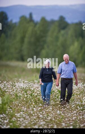 Mature couple walking through a field of flowers hand in hand Stock Photo