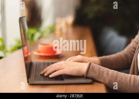 Young female freelancer working on laptop in coffee shop Stock Photo