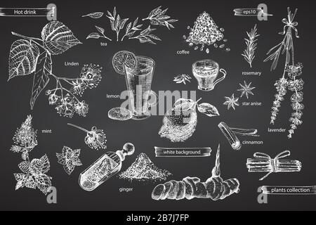 Set vintage hand drawn sketch hot drinc elements isolated on black chalk board background. Star anise, cinnamon, lavender, rosemary, lemon, ginger Stock Vector