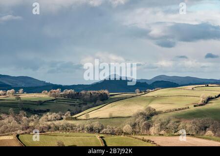 A view across fields in the peaceful south Shropshire landscape, looking north towards the distant Long Mynd and the Stiperstones Stock Photo