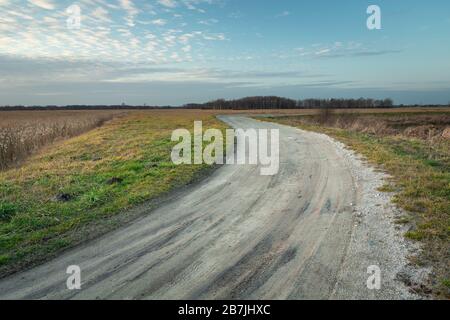 A winding dirt road through the wild areas of eastern Poland Stock Photo