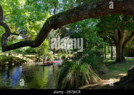 Guide dressed in Edwardian Costume Punting on the river Avon through Hagley Park, Christchurch, Canterbury Region, South Island, New Zealand Stock Photo