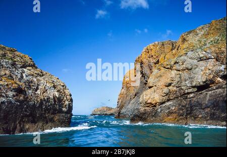 Coastal scenery, Summer, UK, Sheer cliffs around Ramsey Island, showing sea & wind erosion. Stock Photo