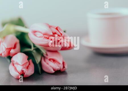 Pink spring tulips and pink cup on a gray background Stock Photo