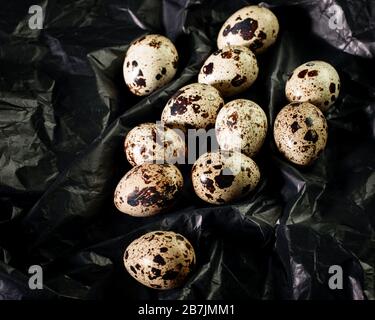 Quail spotted eggs on the abstract black backgrounbd closeup. Light depth, dark mode, abstract texture. Stock Photo