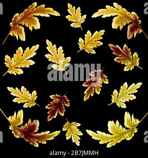Floral botanical autumnal pattern with bright golden chrysanthemum leaves on black background. Fall seasonal backdrop for textile, napkins, scarf or s Stock Photo