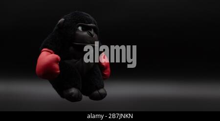 Stuffed gorilla boxer with angry face posing on a dark background. Boxing concept Stock Photo