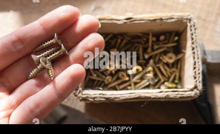 Small screws in a woman's hand taken from a cardboard box. Stock Photo