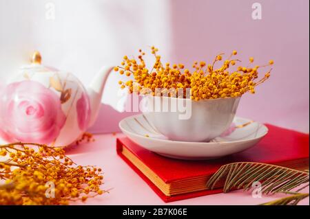 white Porcelain mug full of yellow Mimosa and a saucer stand on a red old book and on a pink transparent background in natural sunlight with hard shad Stock Photo
