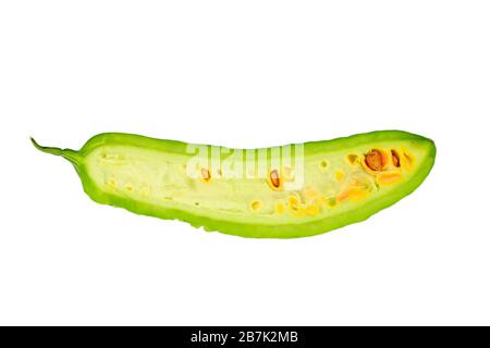 close up of balsam pear in white background Stock Photo