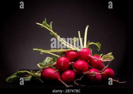 Lot of radishes grouped on a black surface. Still life studio shot of vegetable against a dark background. Stock Photo