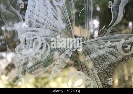 Detail of engraved glass window by Sir Laurence Whistler. Delicate etched lines depict a butterfly. St Nicholas Church, Moreton, Dorset, England, UK. Stock Photo