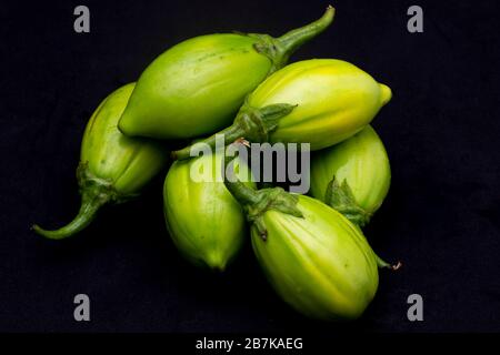 Solanum gilo, Scarlet eggplant, for sale, Stock Video