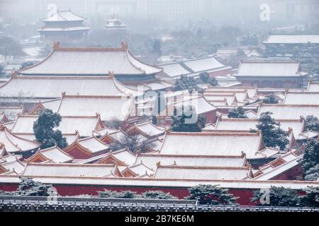 The view of the very first snow of year of rat covering the Forbidden City, Beijing, China, 2 February 2020. *** Local Caption *** fachaoshi Stock Photo