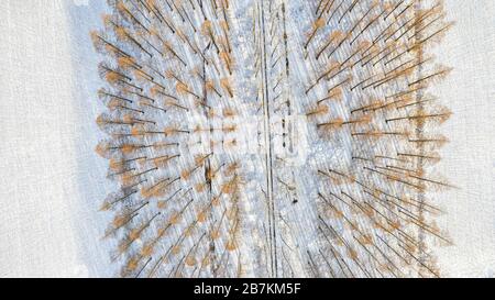 An aerial view of wetland near Hongze Lake covered by snow, forming a remarkable maze composed of various geometric figures, Sihong county, Suqian cit Stock Photo