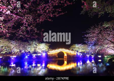 Night view of neon lights surrounded by sakura flowers in Yuantouzhu, a peninsula which lies on the northwestern shore of Lake Tai and is famous for i Stock Photo