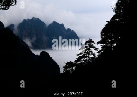 The view of Huangshan, a famous mountain range in China, together with woods and rocks on it, covered by heavy fog, forming a fairyland, Huangshan cit Stock Photo