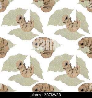 Seamless watercolor pattern tardigrades, cute water bear Stock Photo