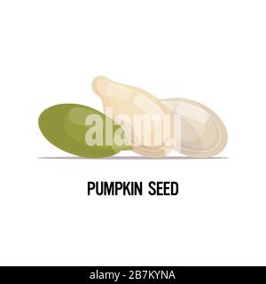 pumpkin seeds organic healthy vegetarian food concept vector illustration Stock Vector