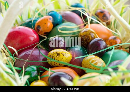 Multicolored painted Easter eggs in hand basket Stock Photo