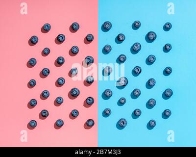 Blueberry pattern. Minimalistic concept. Top view or flat lay. Blueberries staggered on two colors background. Pink and blue minimalistic background Stock Photo