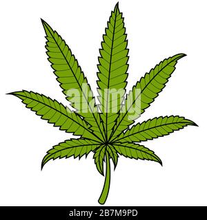 Marijuana cannabis leaf on white background. Vector Illustration Stock Photo