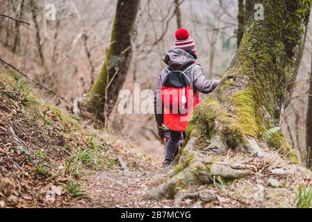 Children hiking in the mountains or woods on family trip. Active family, parents and children mountaineering in the nature. Kids are walking in woods Stock Photo