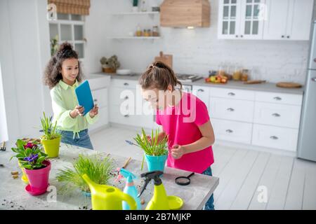 Two girls standing in a bright kitchen. Stock Photo