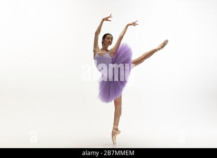 Hispanic ballet dancer posing on tip toe stock photo