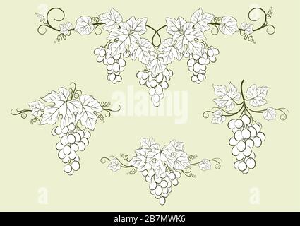 Set of Grape Labels Stock Vector