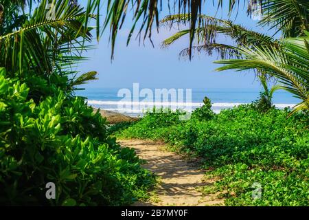 ath to the beach and ocean. Scenic view of the Indian Ocean through the jungle at Bentota Beach, Sri Lanka, Asia. Sunny day on the beach. Stock Photo