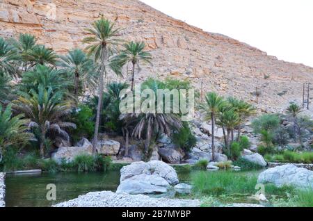 Oasis in Wadi Bani Khalid Oman Stock Photo