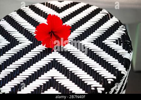 Black and white chair with red tropical flower. Relaxing in the exotic holiday resort. White and Black artificial rattan wicker background. Stock Photo