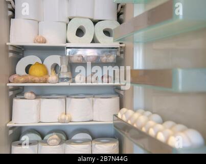 A supply of toilet paper , stored in the refrigerator with garlic, lemon , and ginger. A funny photo. Stock Photo