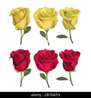 realistic rose design isolated on background, vector illustration Stock Vector