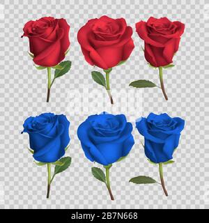 realistic rose design isolated on background, vector illustration Stock Vector