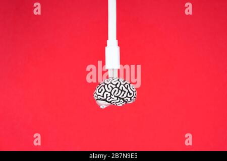 A white micro usb cable connected to a small metal model of a human brain isolated on a red background. Profile shot. Stock Photo