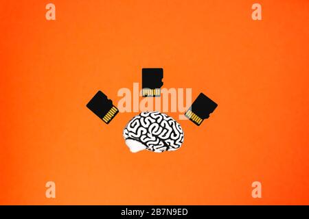 A small model of a human brain model and three memory cards lying on an orange background. Top front view. Artificial intelligence concept. Stock Photo